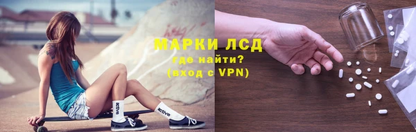гидра Арсеньев