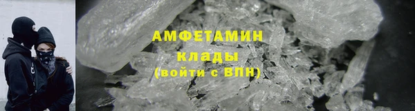 гидра Арсеньев