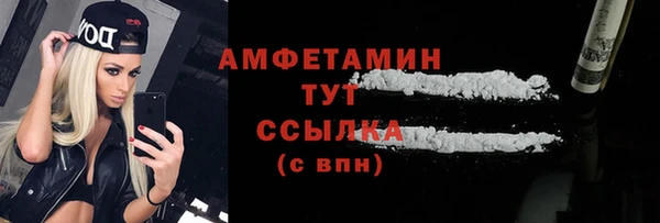 гидра Арсеньев