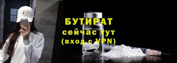 гидра Арсеньев