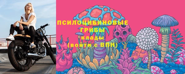 дживик Аркадак