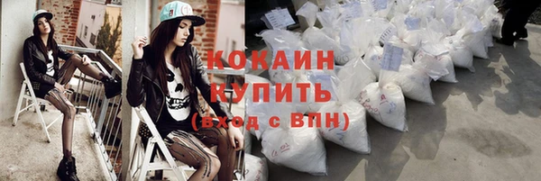 дживик Аркадак