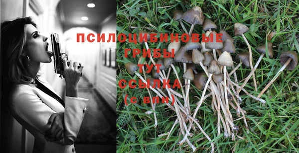 гидра Арсеньев