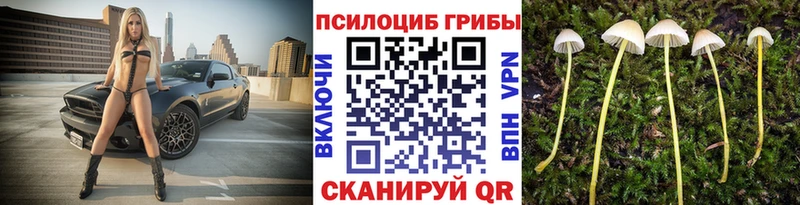 Галлюциногенные грибы ЛСД omg ССЫЛКА Коломна